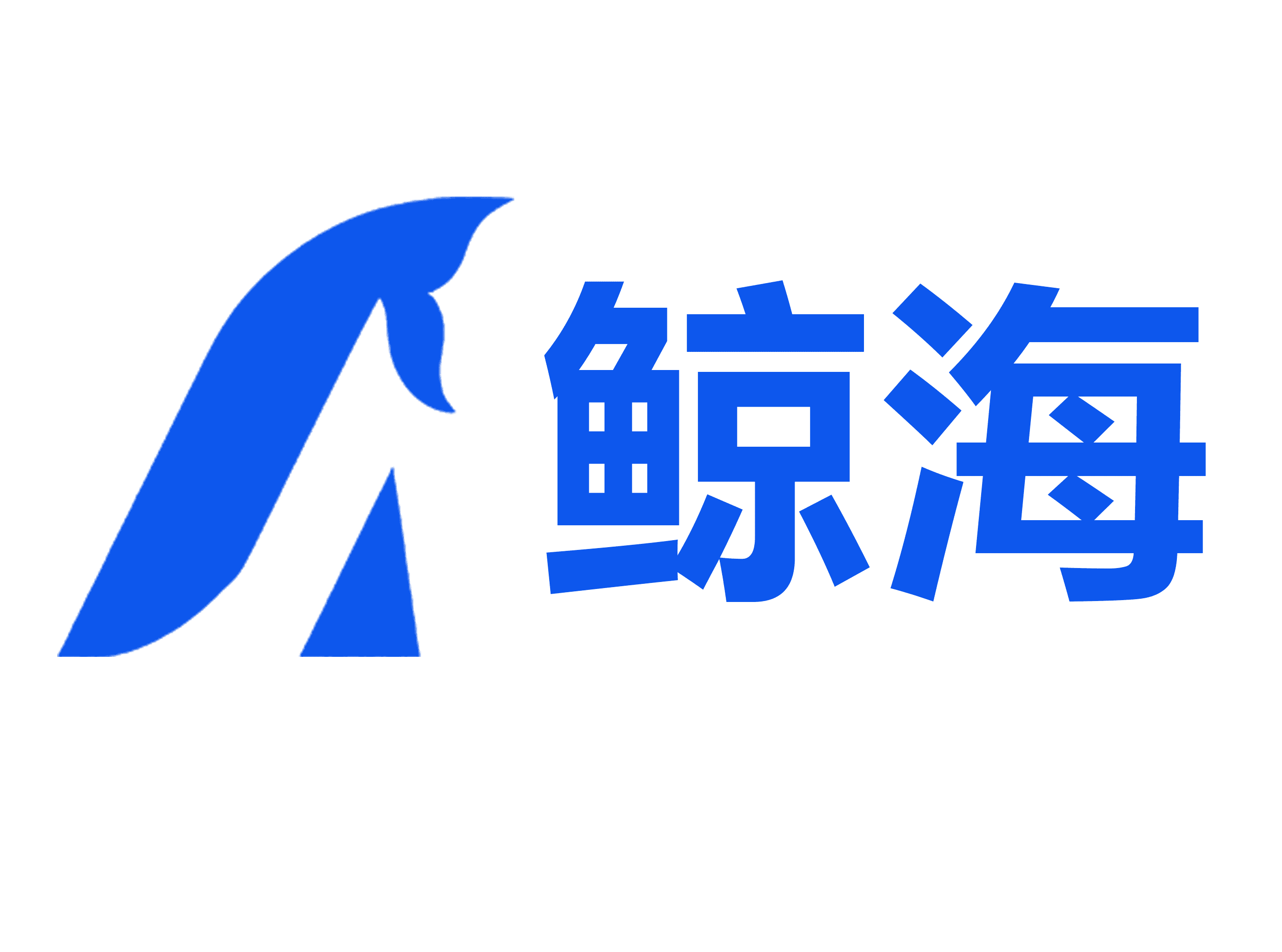 鲸海数据logo